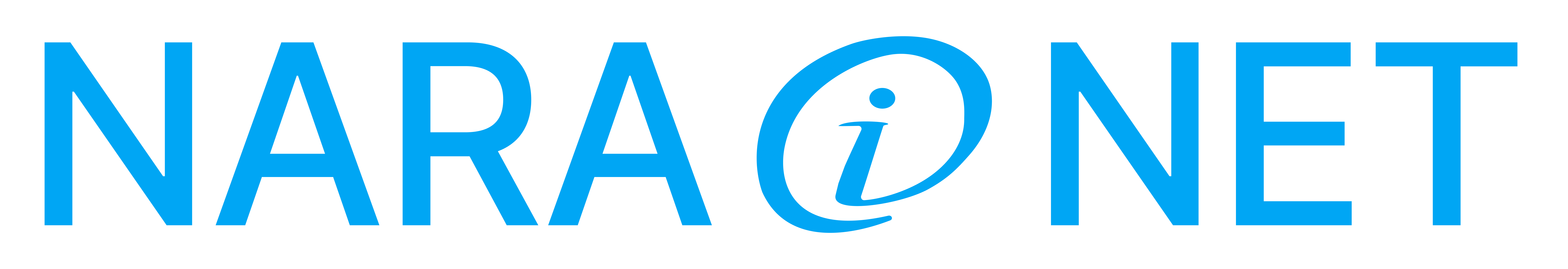 NARAINET Logo